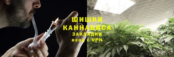бошки Богданович