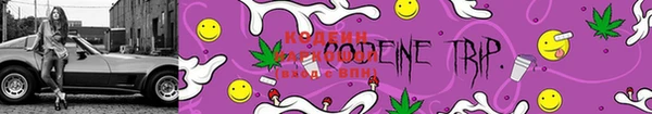 бошки Богданович