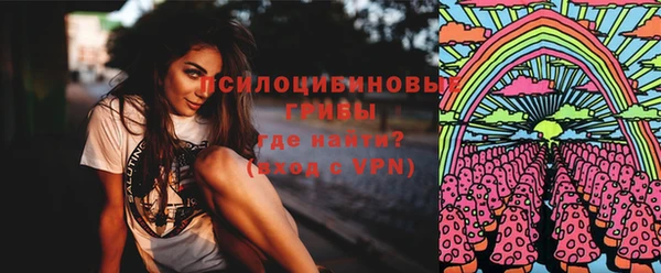 бошки Богданович