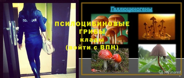 бошки Богданович