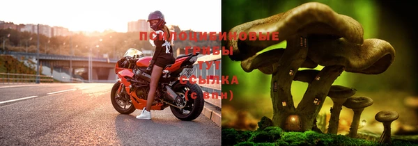 альфа пвп Богородск